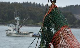 Sullivan%20Applauds%20Senate%20Passage%20of%20American%20Fisheries%20Advisory%20Committee%20Act
