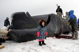 Alaska%20Delegation%20Bill%20Works%20to%20Protect%20Alaska%20Native%20Whaling%20Quota